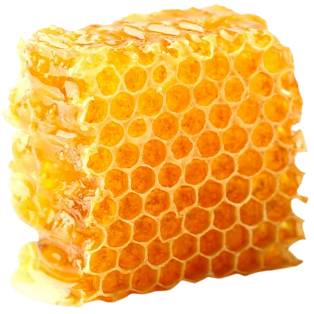 beeswax