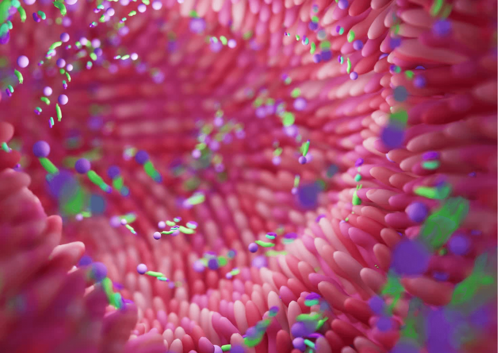 A simple guide to Probiotics